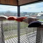 Au Bon Coin De La Baie *